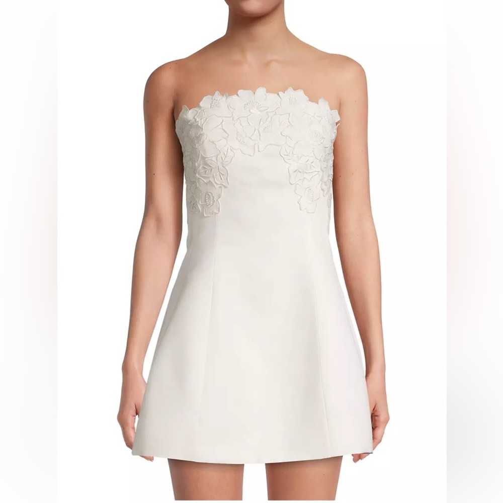 Alanna Embroidered Strapless Minidress